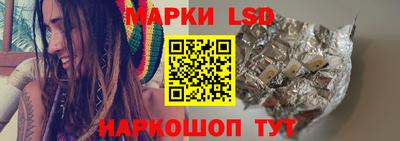амф Гусев