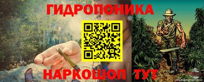 амф Гусев