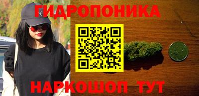 амф Гусев