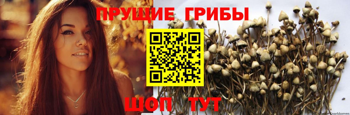 Псилоцибиновые грибы Psilocybine cubensis  Вход с VPN  Галлюциногенные грибы Magic Shrooms  Мариинск 